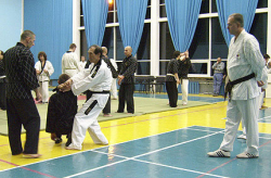 Николаевская школа корейских боевых искусств Хапкидо - Николаев, Плавание, Хапкидо